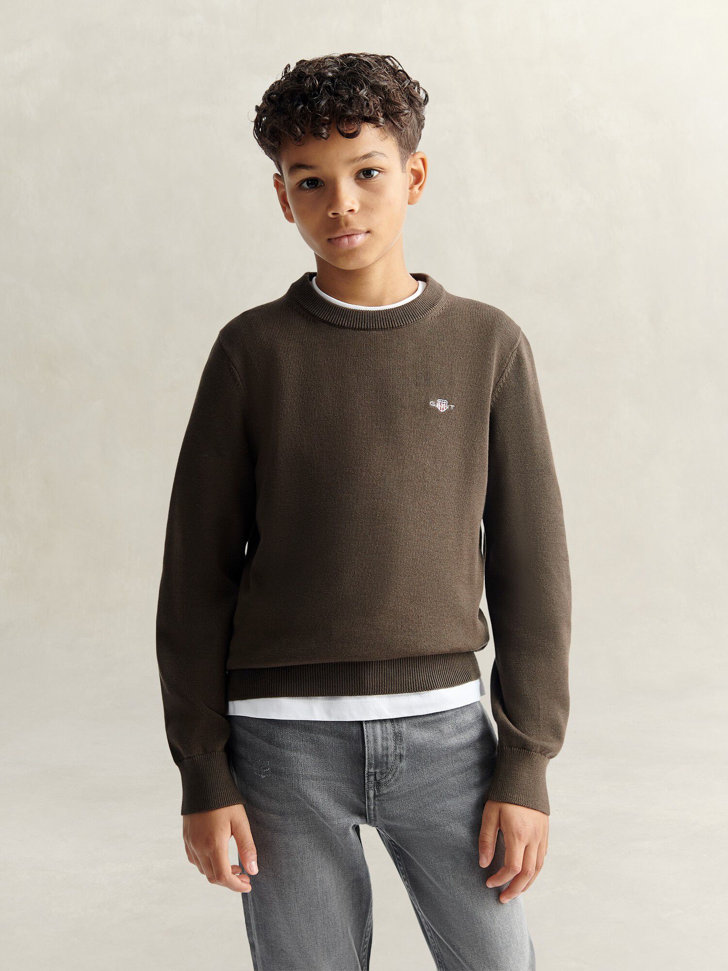 Shield Cotton Crew Neck Sweater