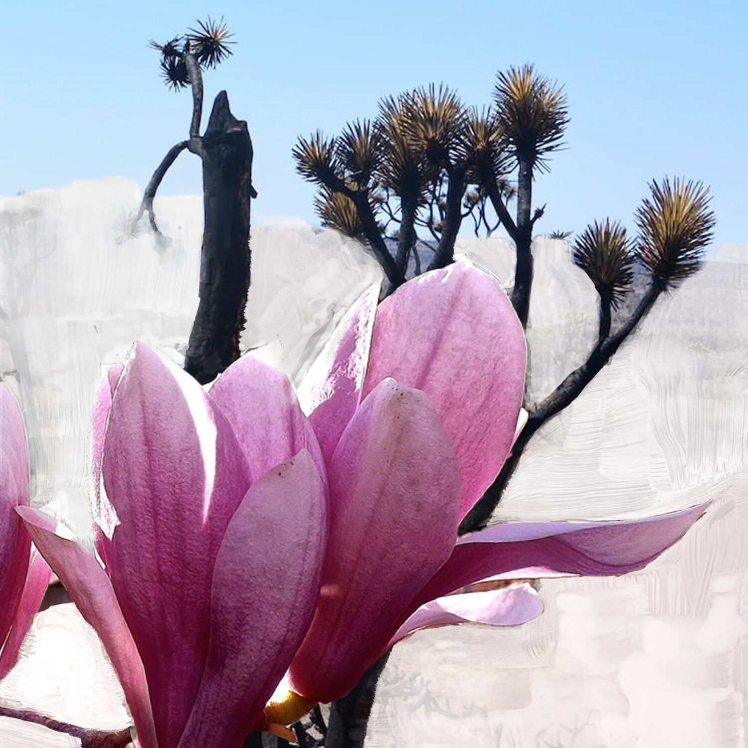 Byredo Mojave Ghost Lait Pour Le Corps Body Lotion 450 ml