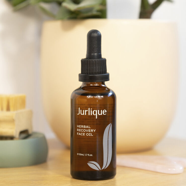 Herbal Recovery Face Oil