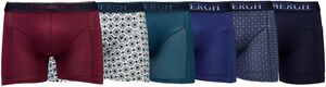 Bamboo basic boxers 6-pack