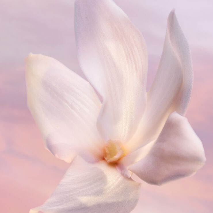 La vie est belle Vanille Nude Eau de Parfum