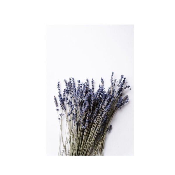 Organic Body Cream Lavender