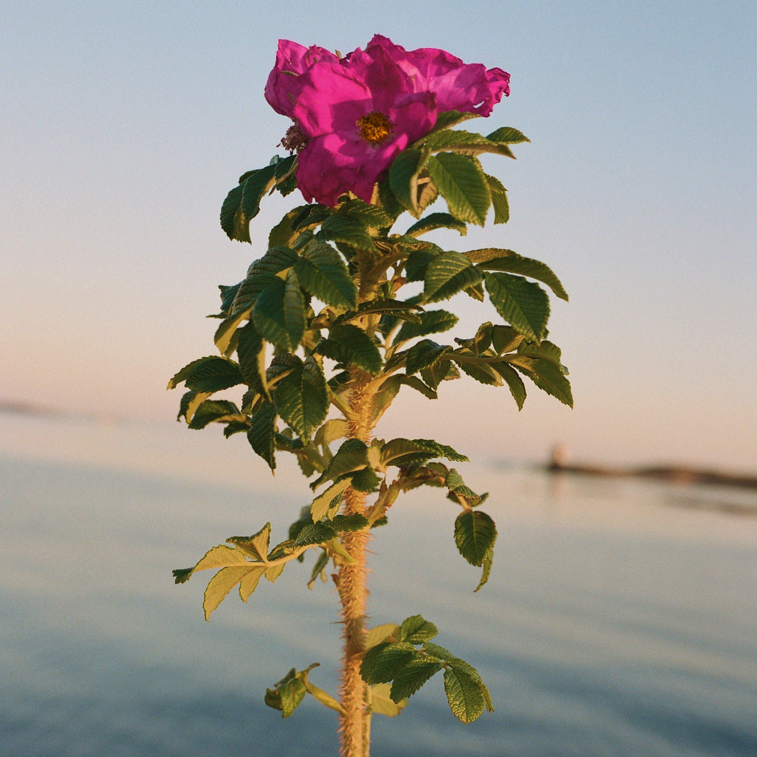 327 Hand & Body Wash FL