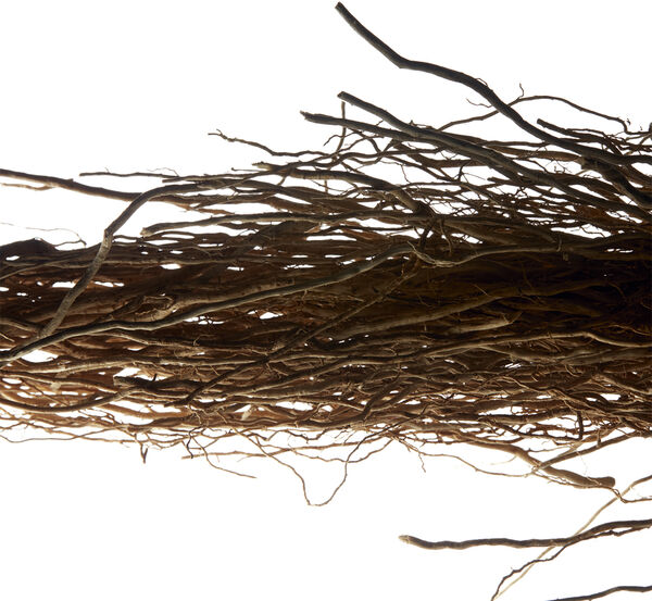 L'Homme Eau De Toilette