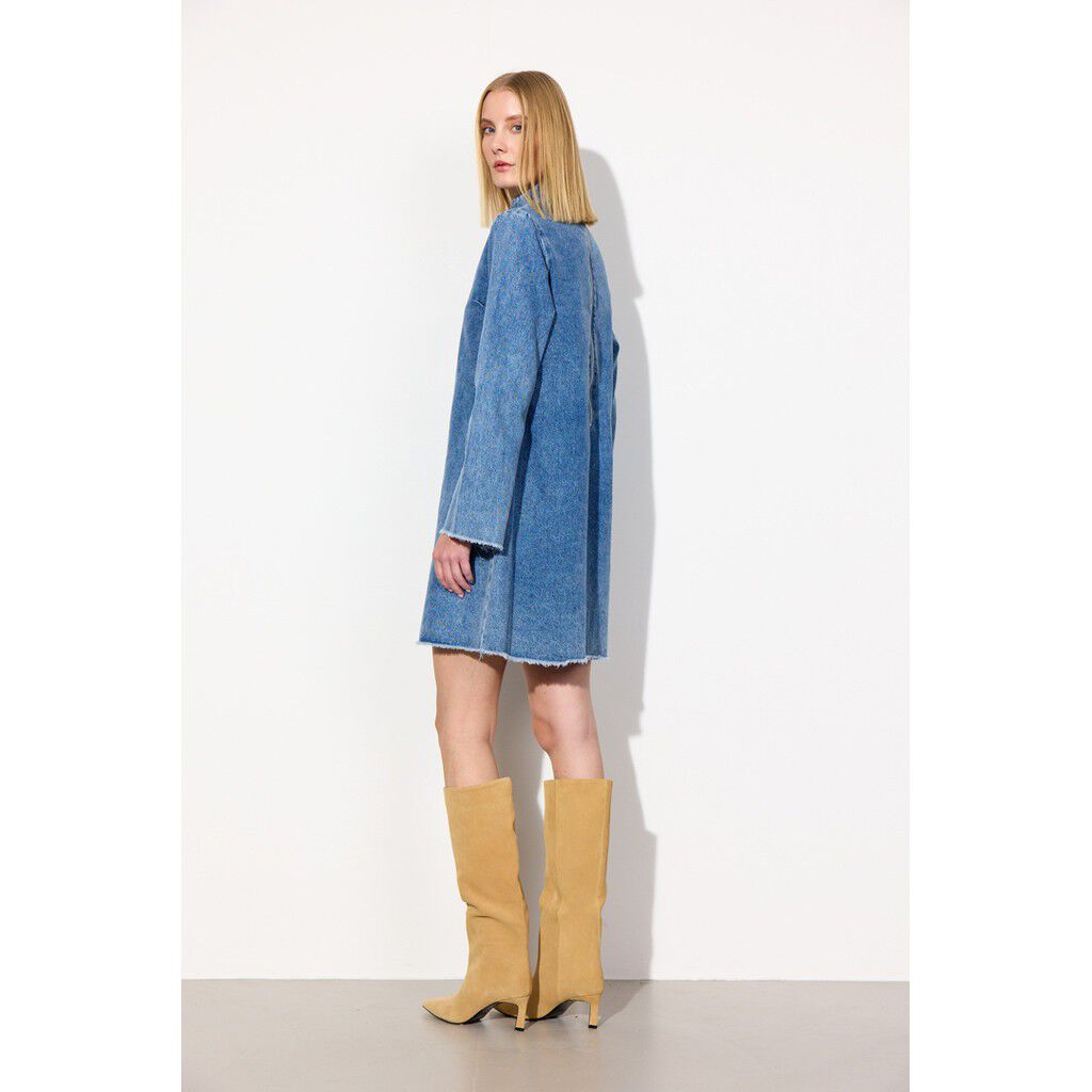Nala Denim Dress