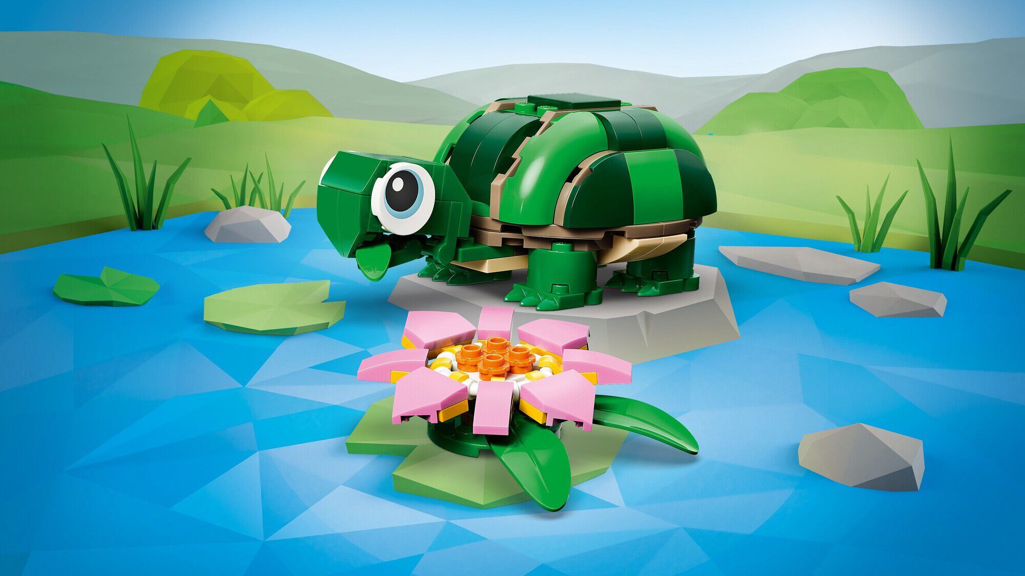 Skildpadde med &aring;kandeblomst 31377