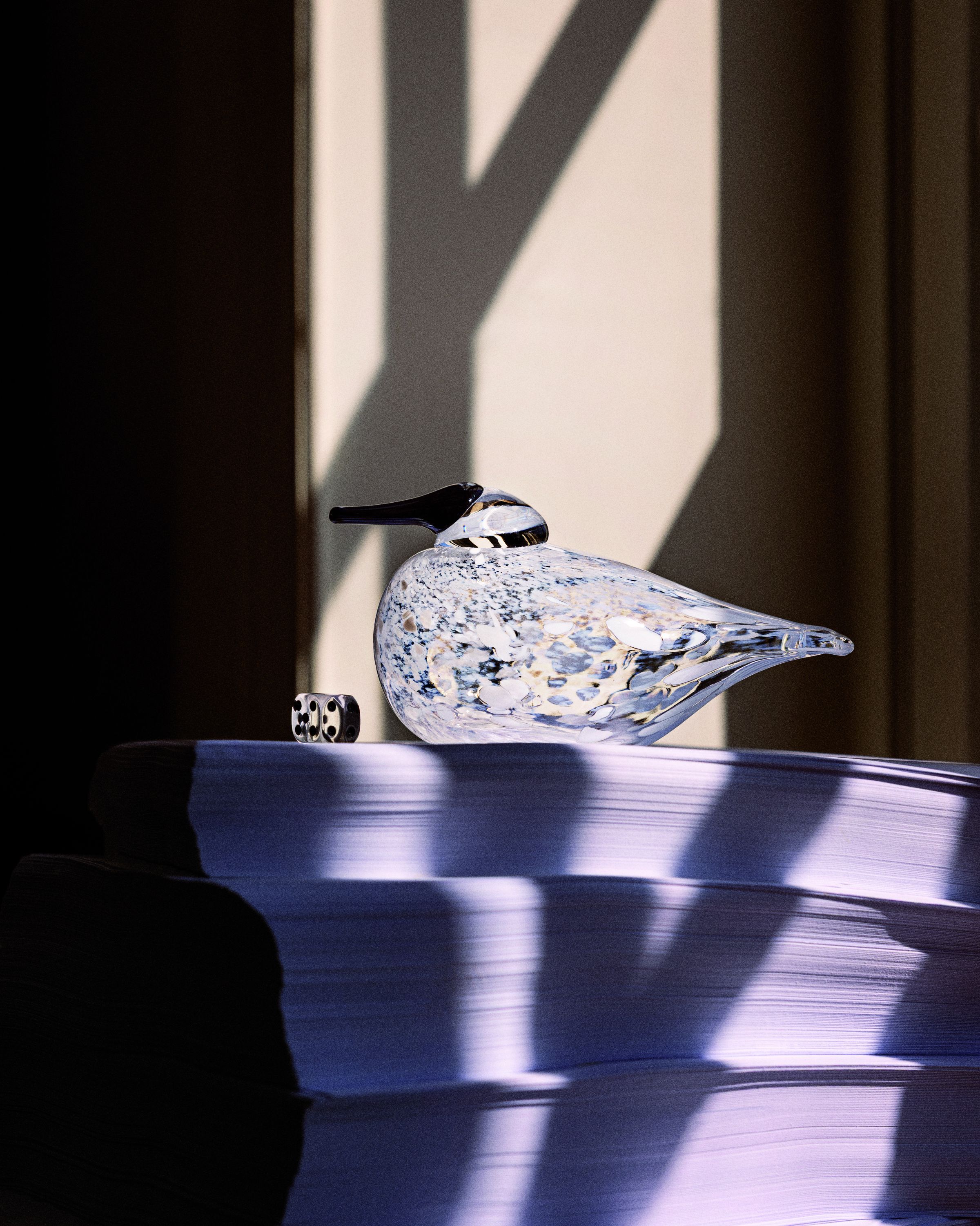 FUGLE AF TOIKKA SNEFINKE