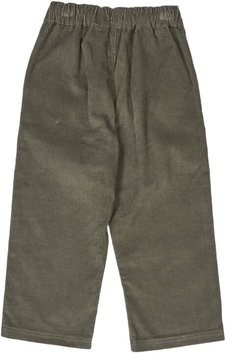 Corduroy pants