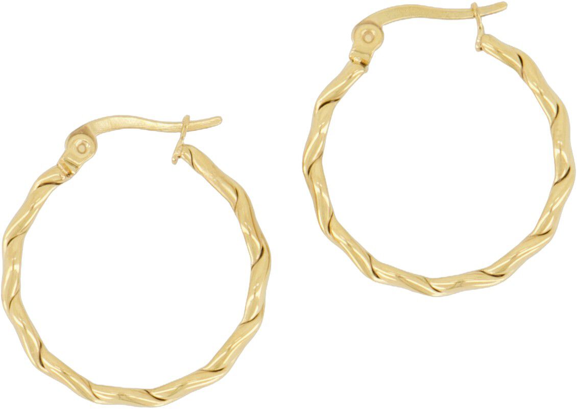 Round rope pattern earrings