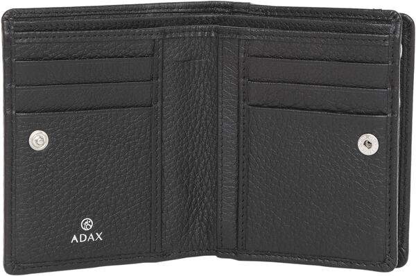 Cormorano pung ninni