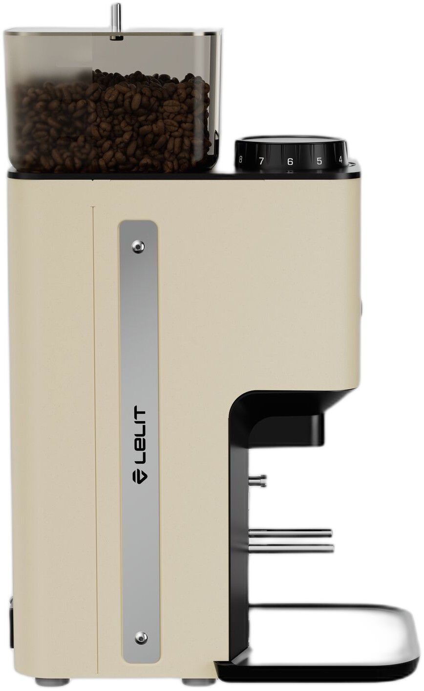 Steve Flat BURR GLD Type Q