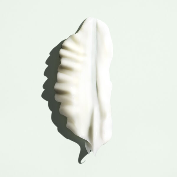 Moisture & Control Priming Lotion Leave-In Conditioning Deta