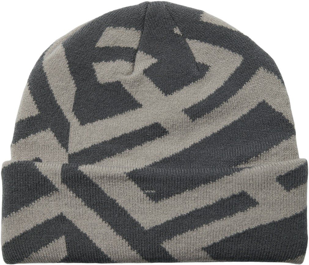 WBYan Fold JQ Art Beanie