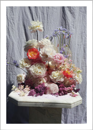 Flowers For Your Lungs 4