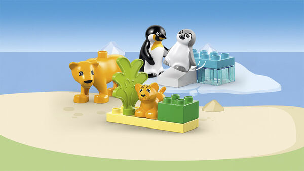 Vilde dyrefamilier pingviner og løver 10442