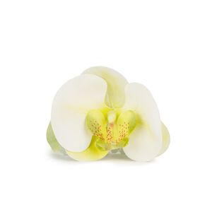 Orchid Middle