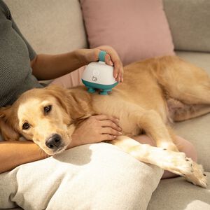 PetCare PP 410 Buddy Massasjeapparat for kjæledyr