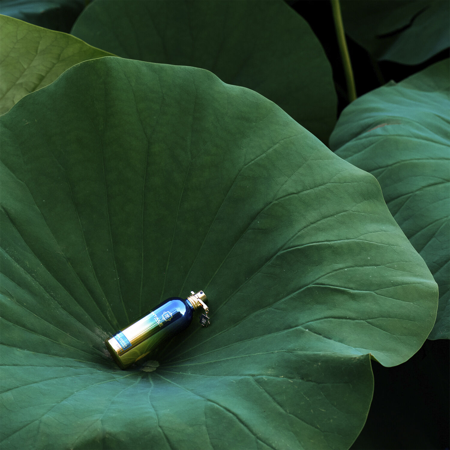 Herbal Aquatica EdP 100 ml