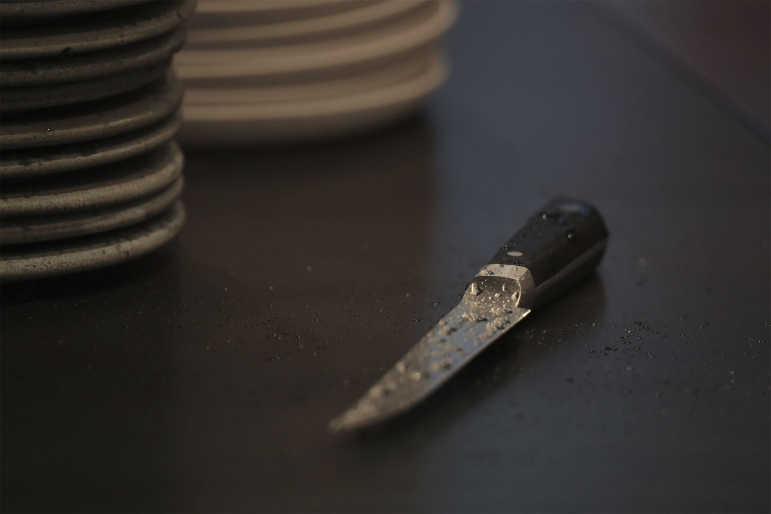 Little Fish - kniv 17 cm