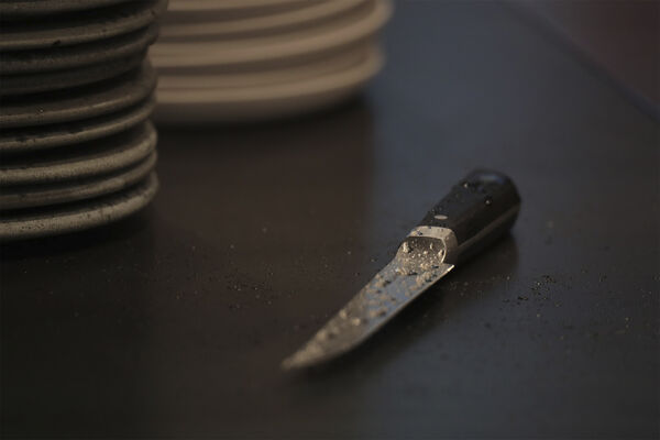 Little Fish - kniv 17 cm