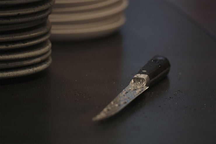 Little Fish - kniv 17 cm