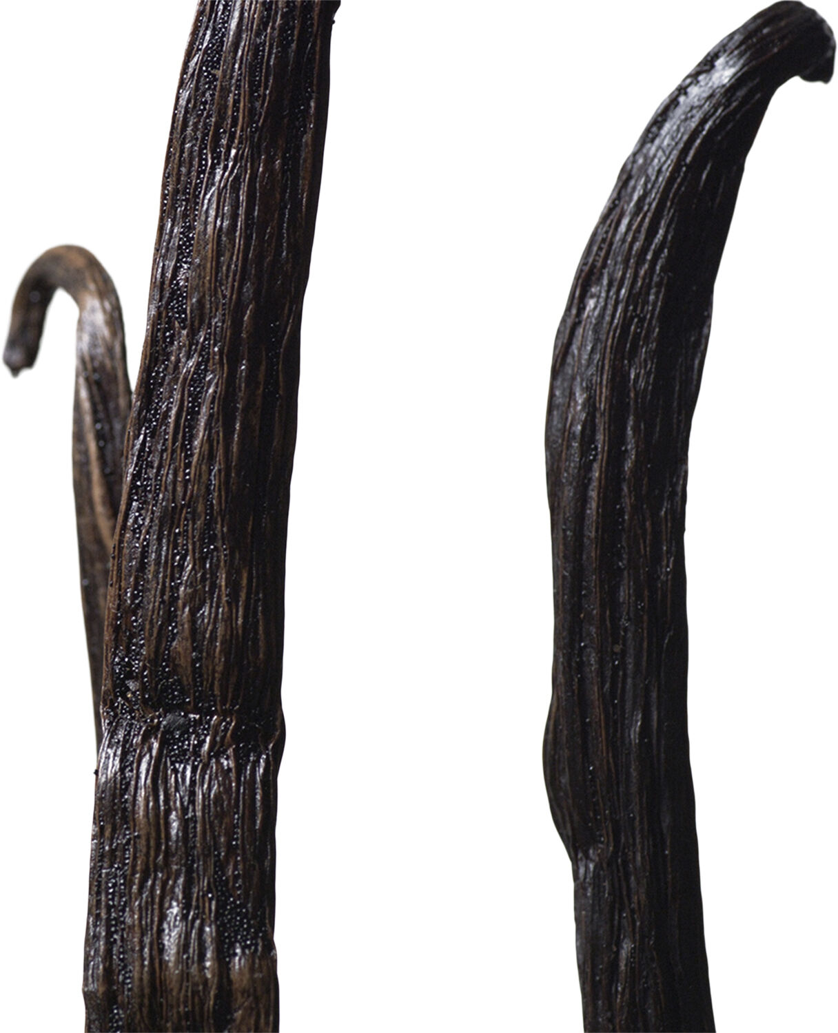 Calvin Klein Euphoria Eau de Toilette