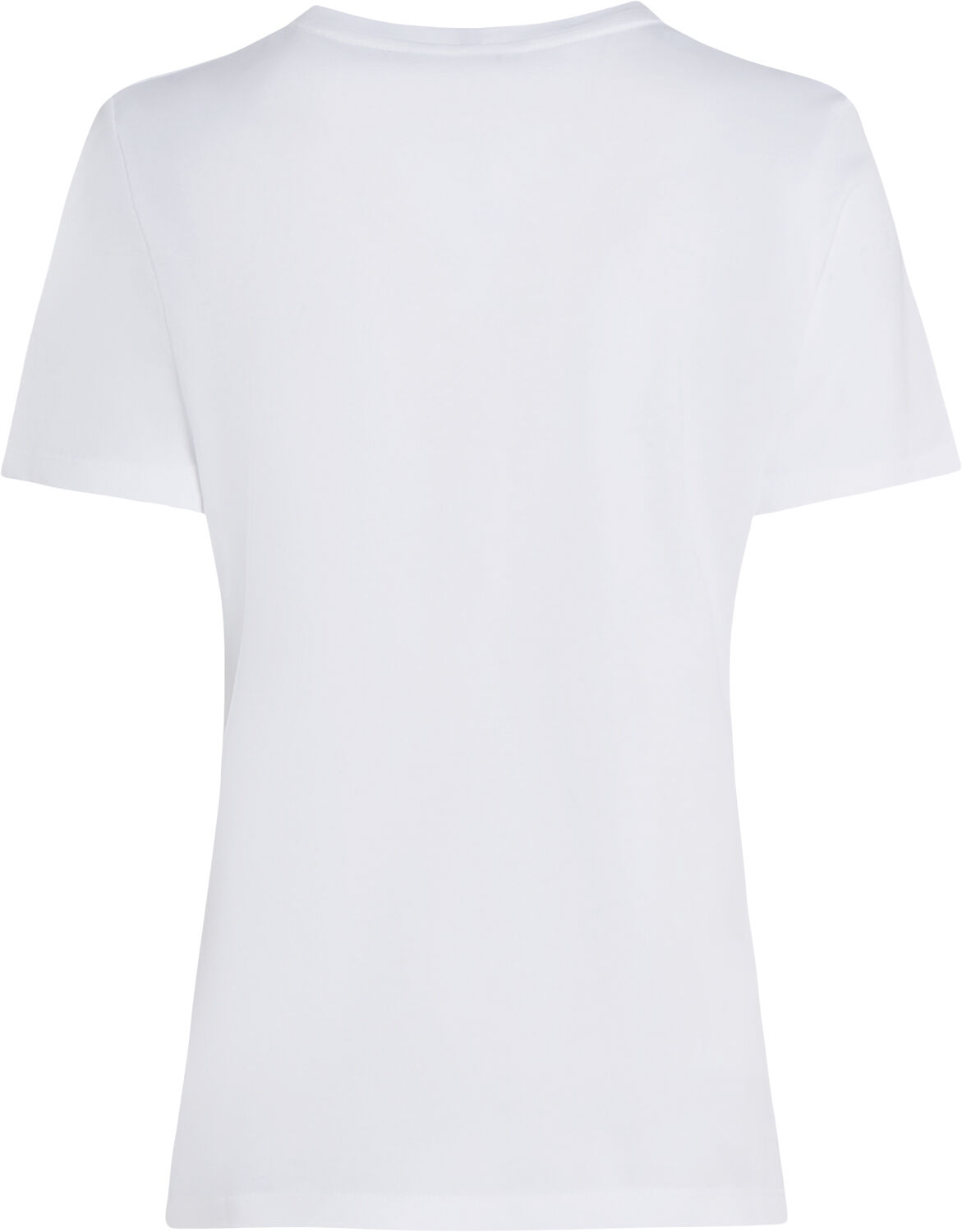 REG CORP LOGO C-NK SS