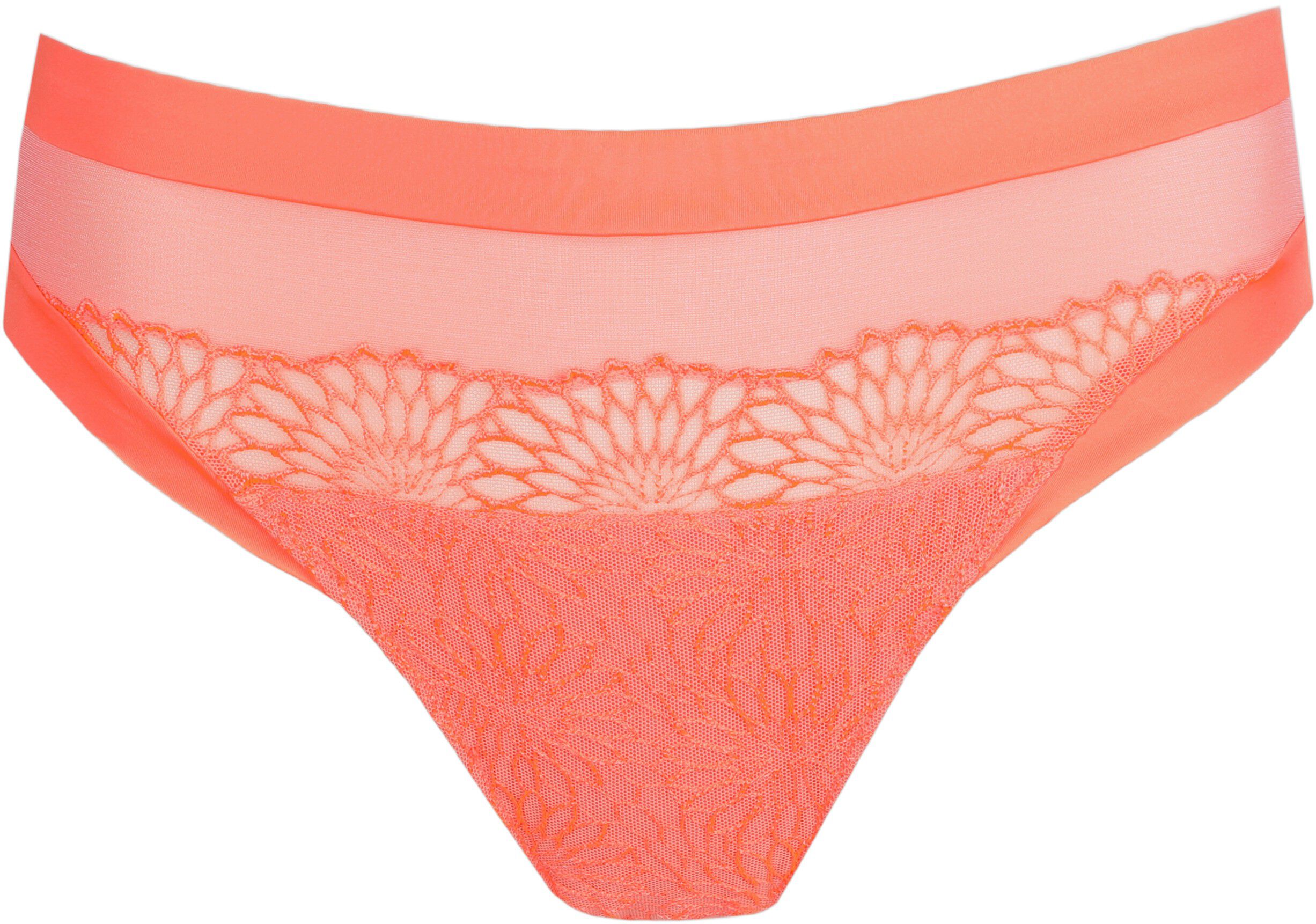 Sophora rio briefs