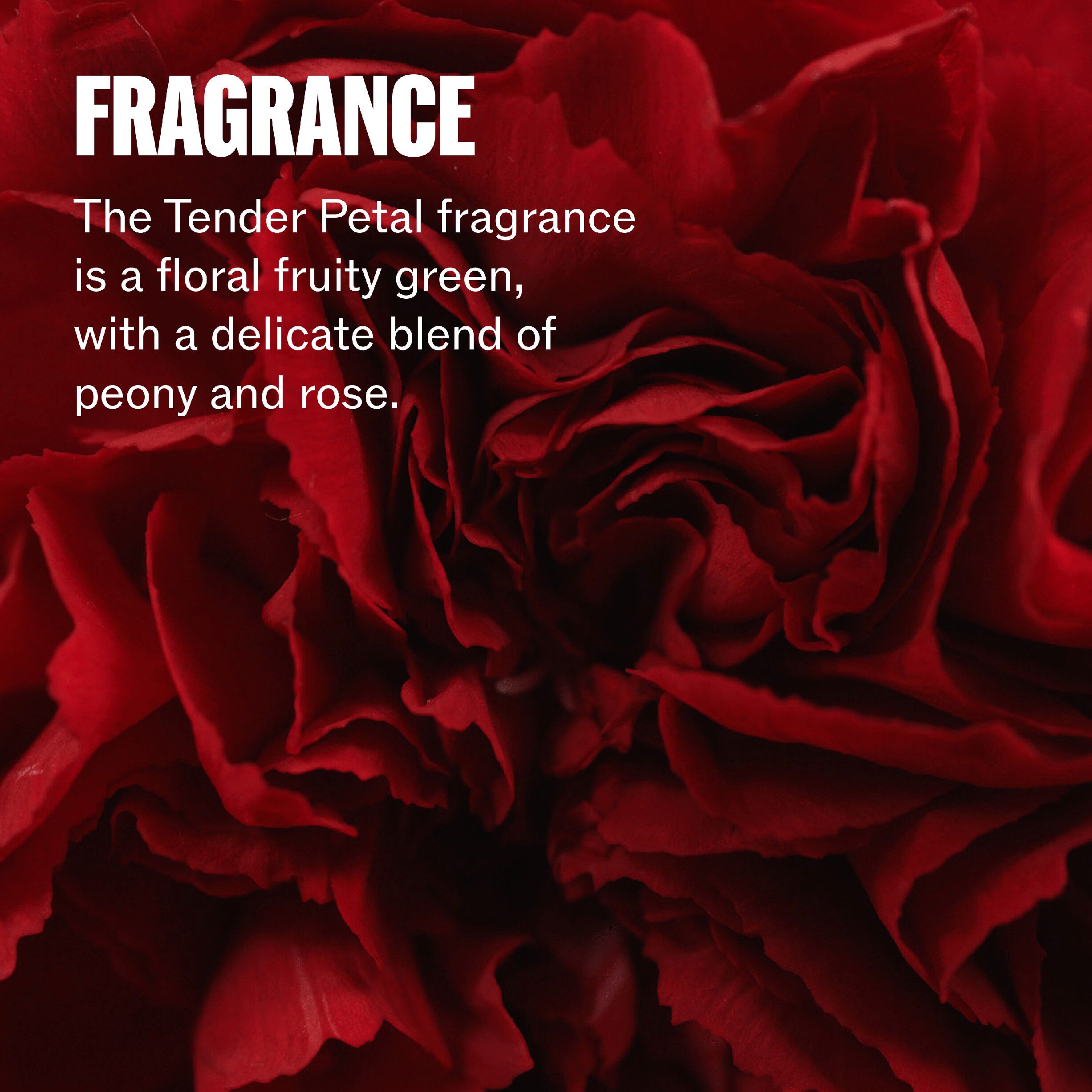 Wella Professionals Ultimate Repair Protective Leave In 95 m