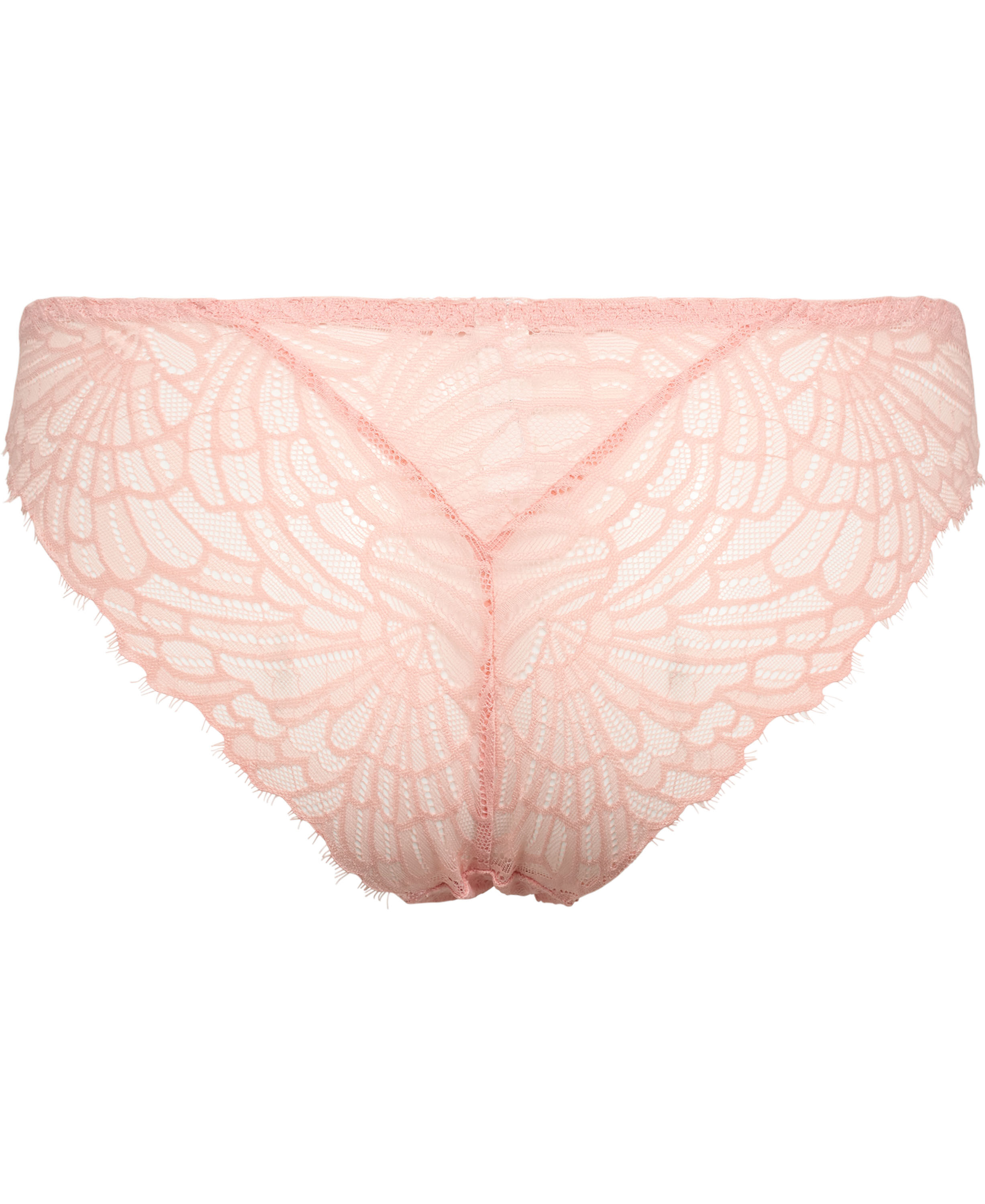 Frill 2 Brief