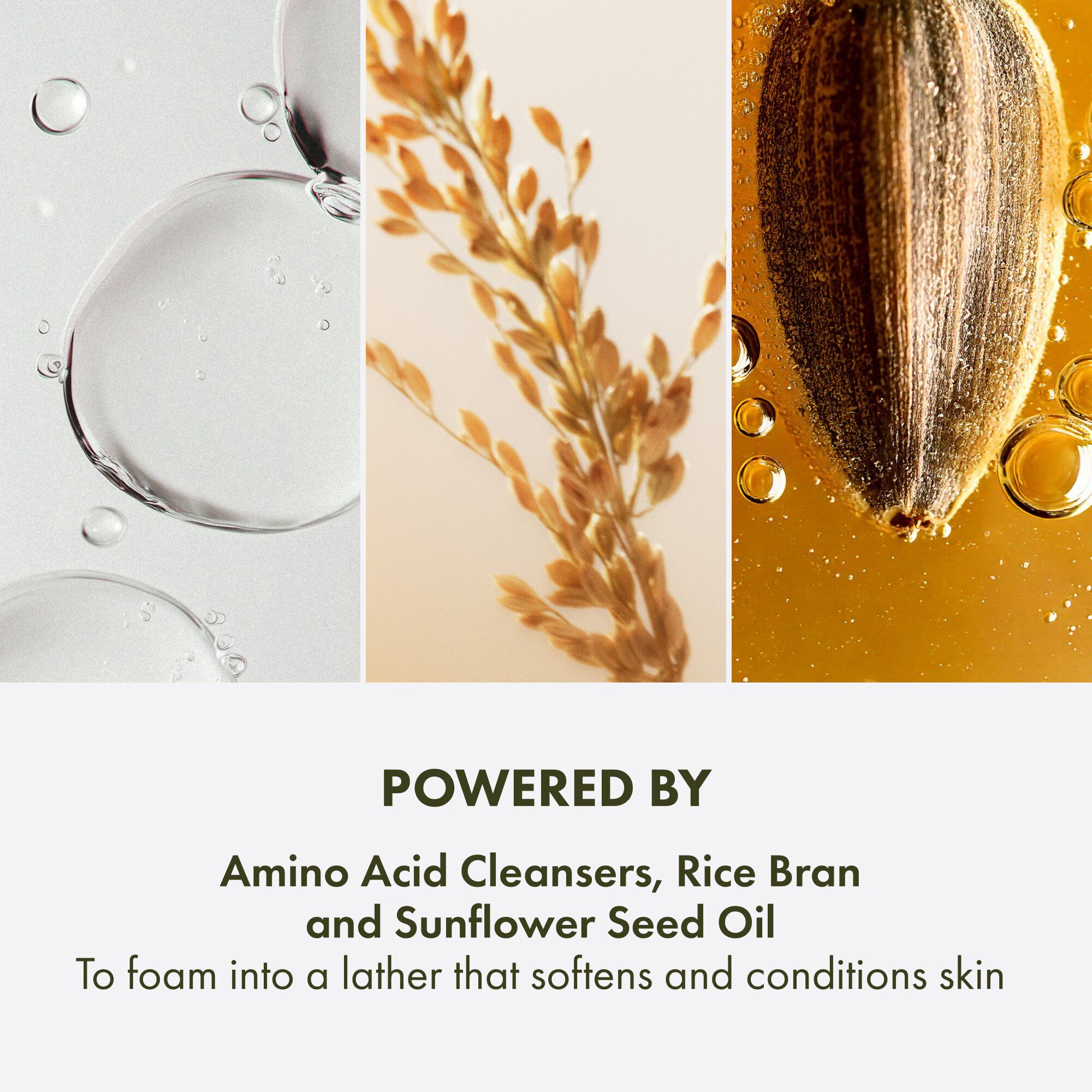 Checks and Balances&trade; Gentle Foaming Face Wash