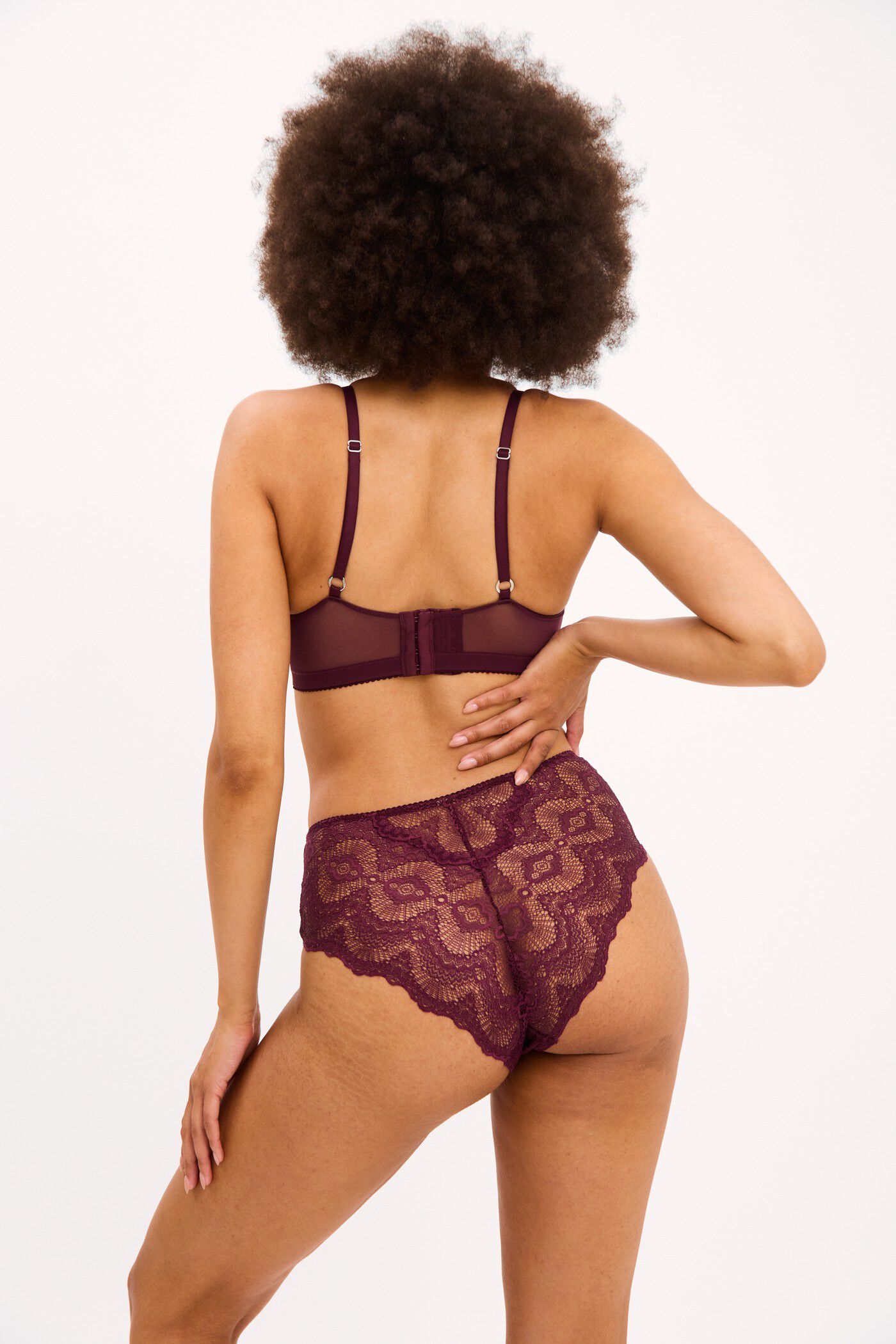 Lace Mesh Highwaist Briefs