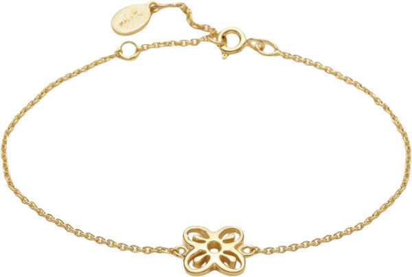 Bese Saka bracelet VERMEIL (925 Sterling silver gold plated 2. 5 micro