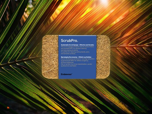 ScrubPro svampe 2 stk.