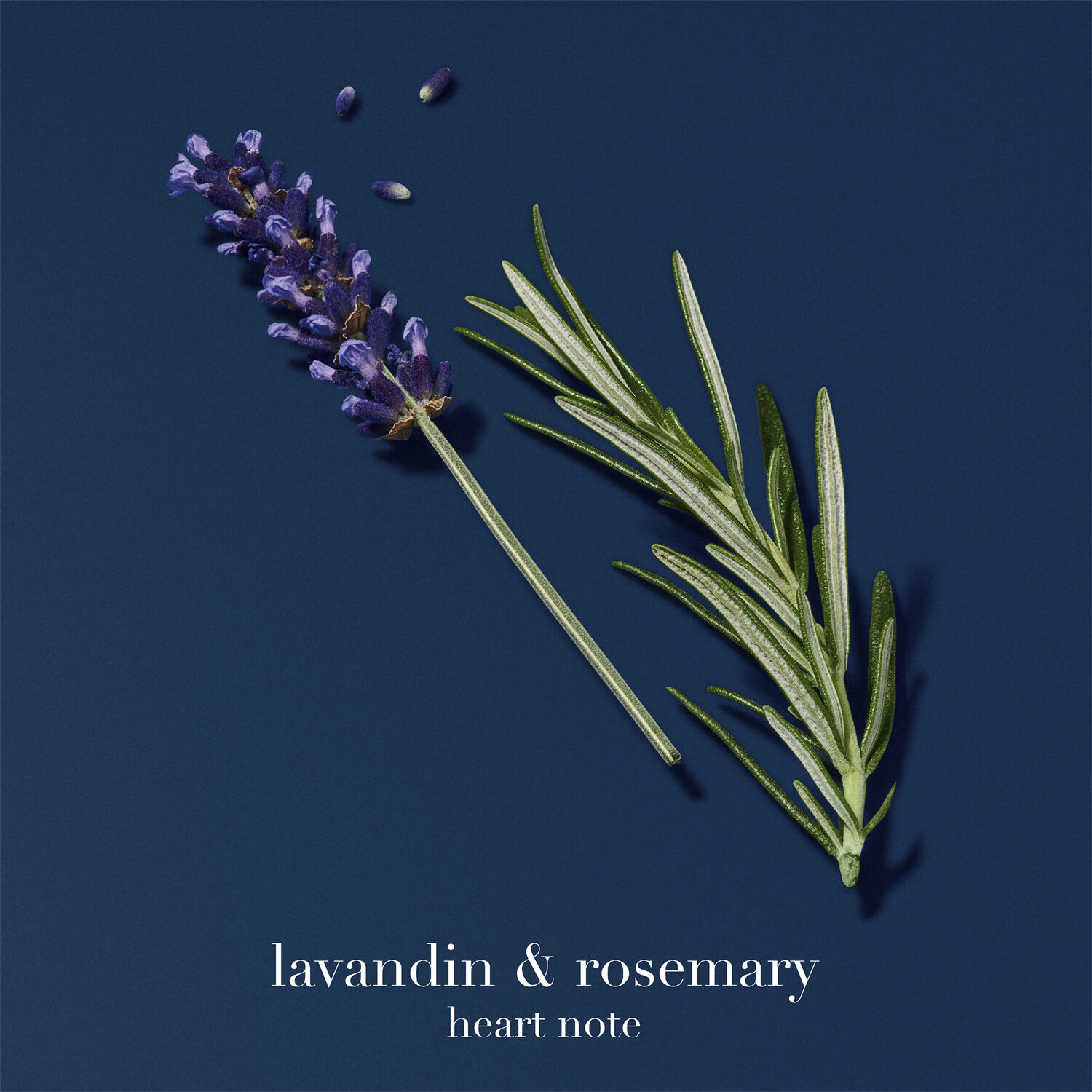 Acqua Di Gi&ograve; Profondo Eau de Parfum