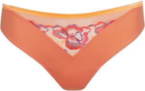 Devdaha rio briefs