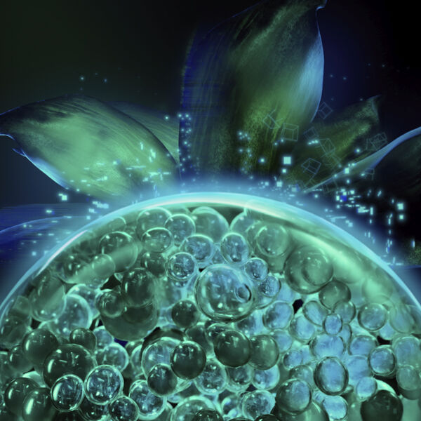 Powercell Skinmunity Serum