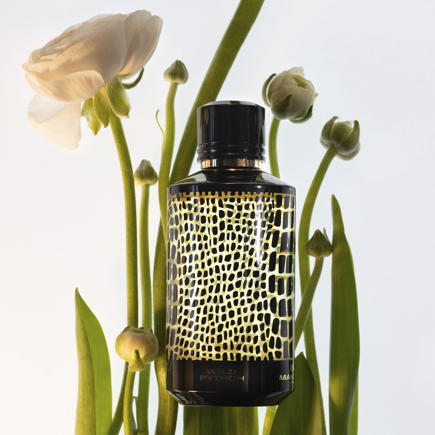 Wild python Eau de Parfums 120 ml