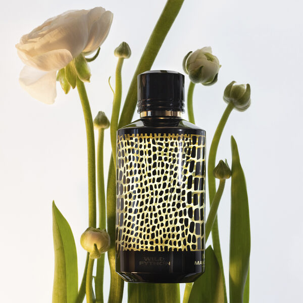 Wild python Eau de Parfums 120 ml