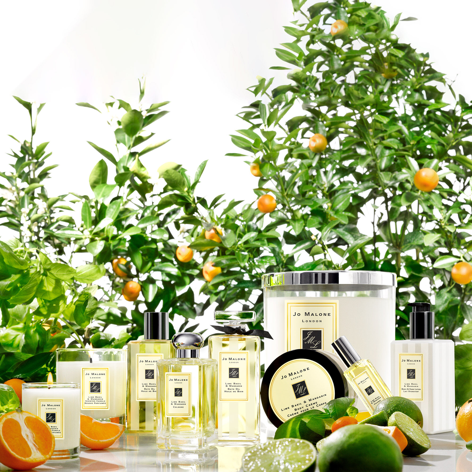 Lime Basil & Mandarin Cologne