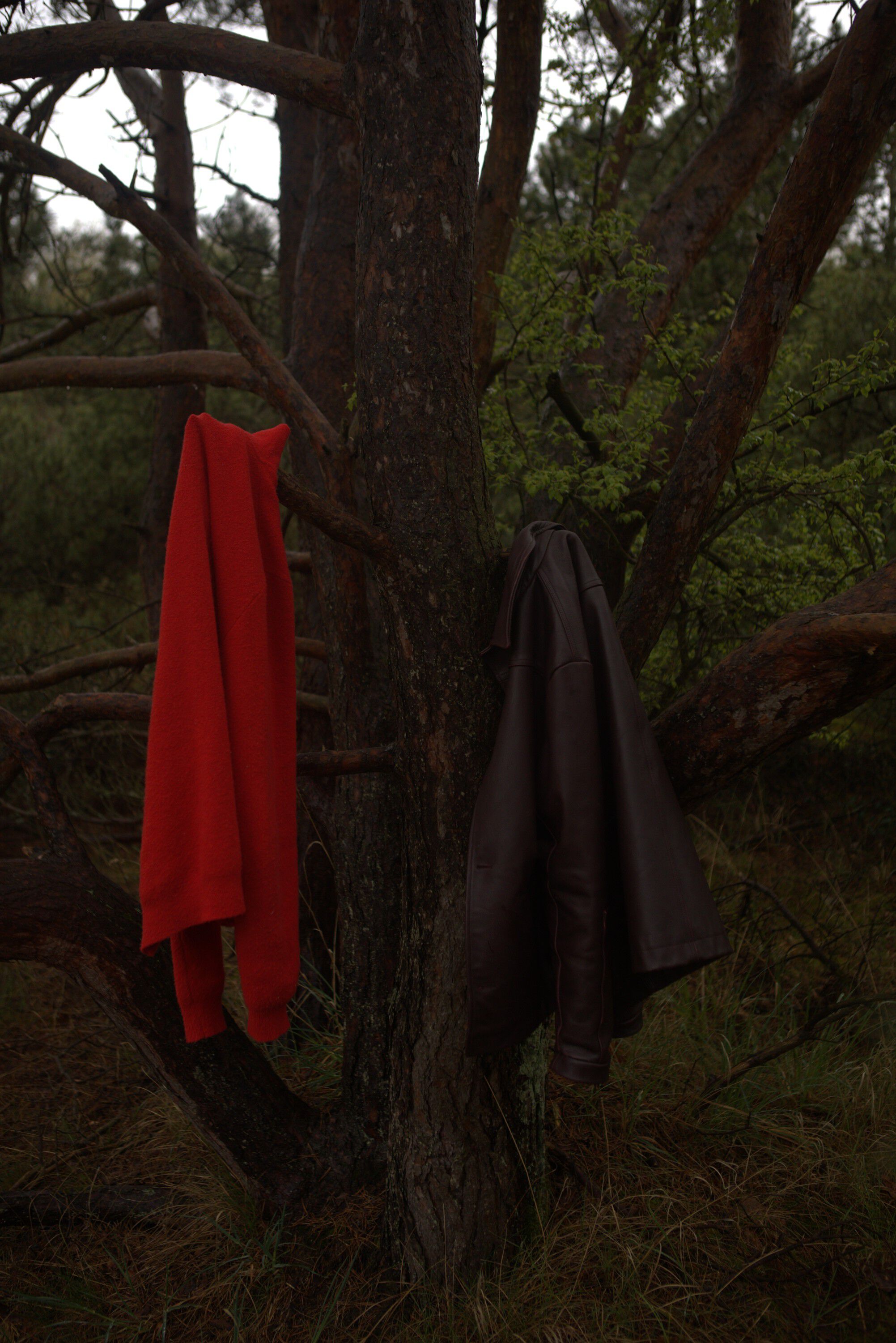 TIMBER BRUSHED POLO KNIT