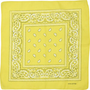 FILUCA Scarf