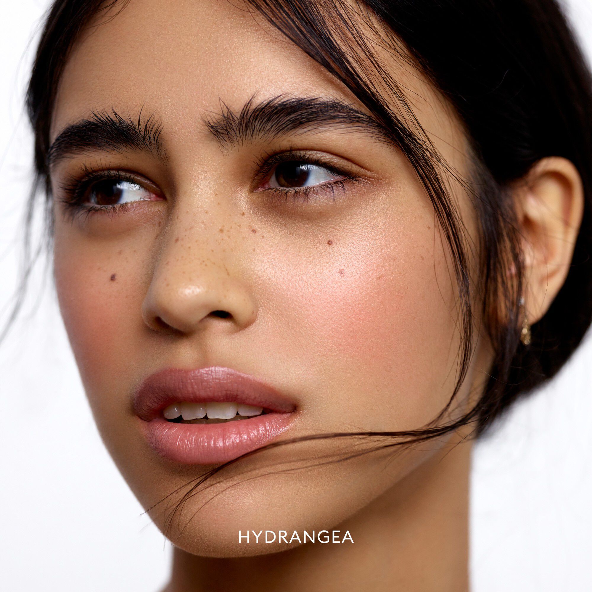 Blush Divine Radiant Lip & Cheek Color