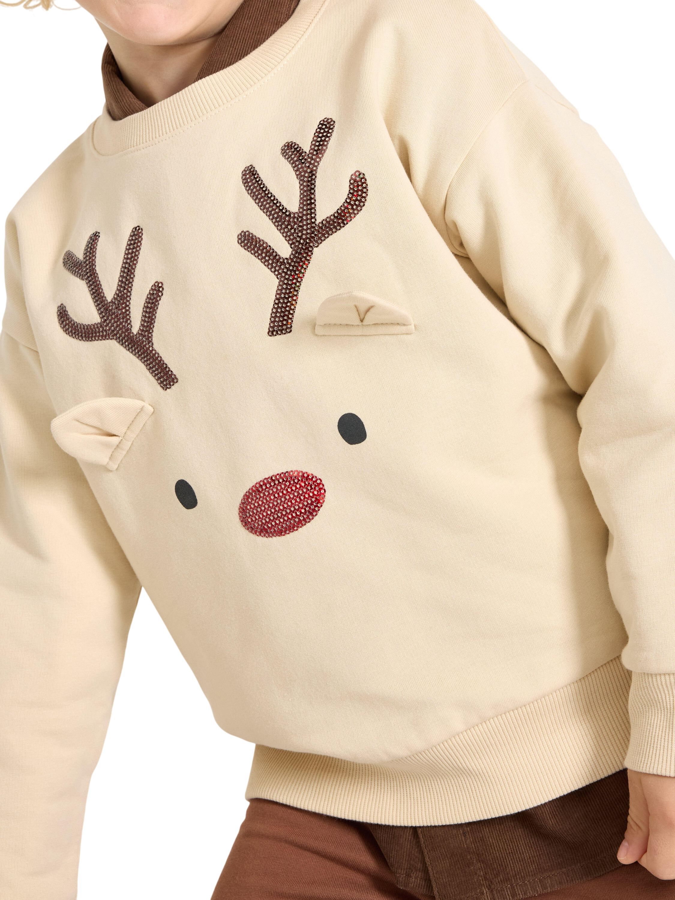 Soft jersey sweatshirt with a brush