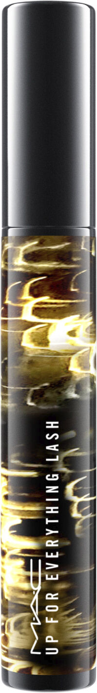 Up For Everything Lash