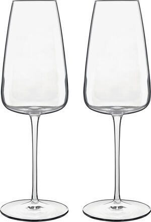Champagneglas Talismano 40 cl 2 st Klar
