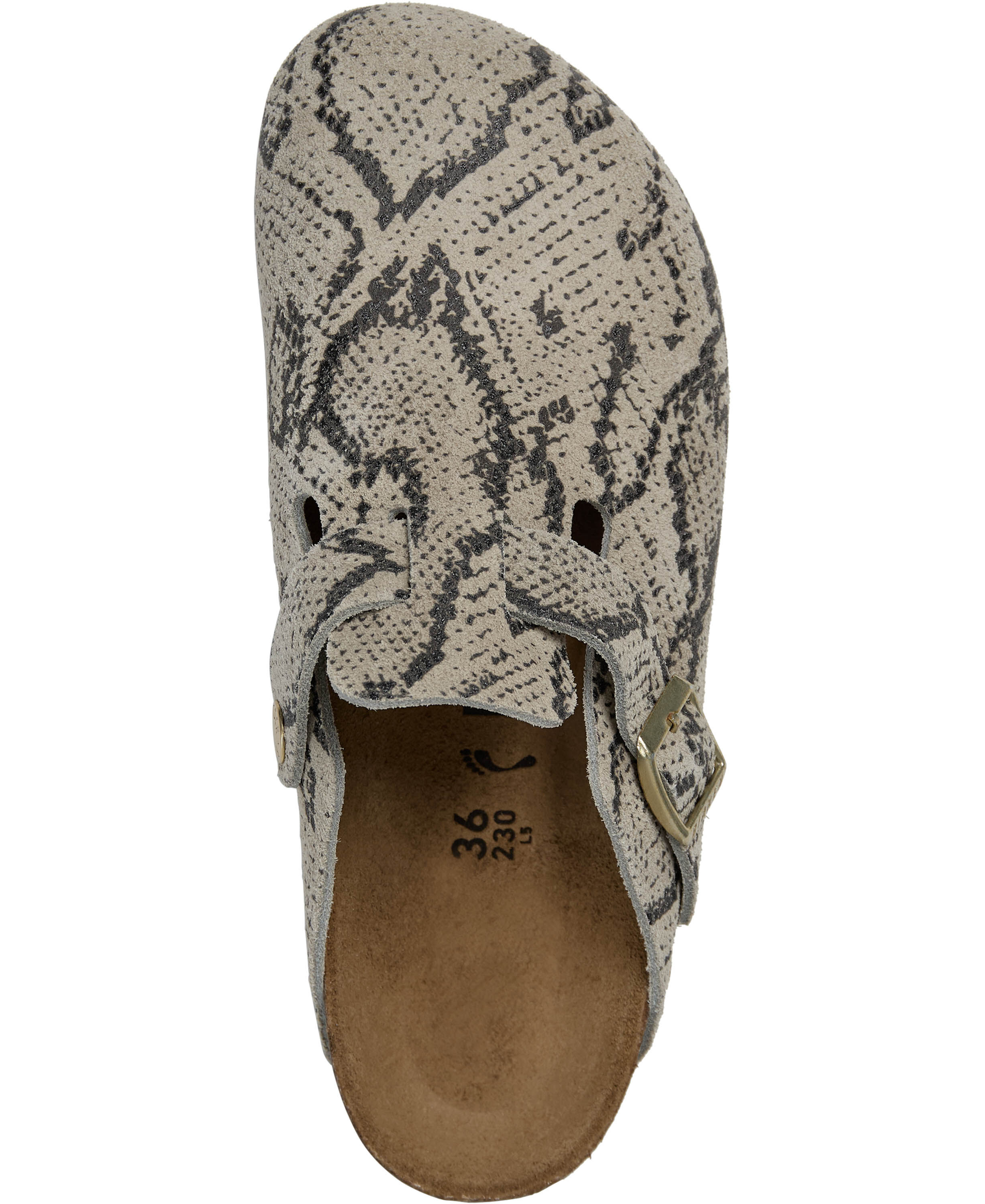 Boston Print LEVE Snake Oyster