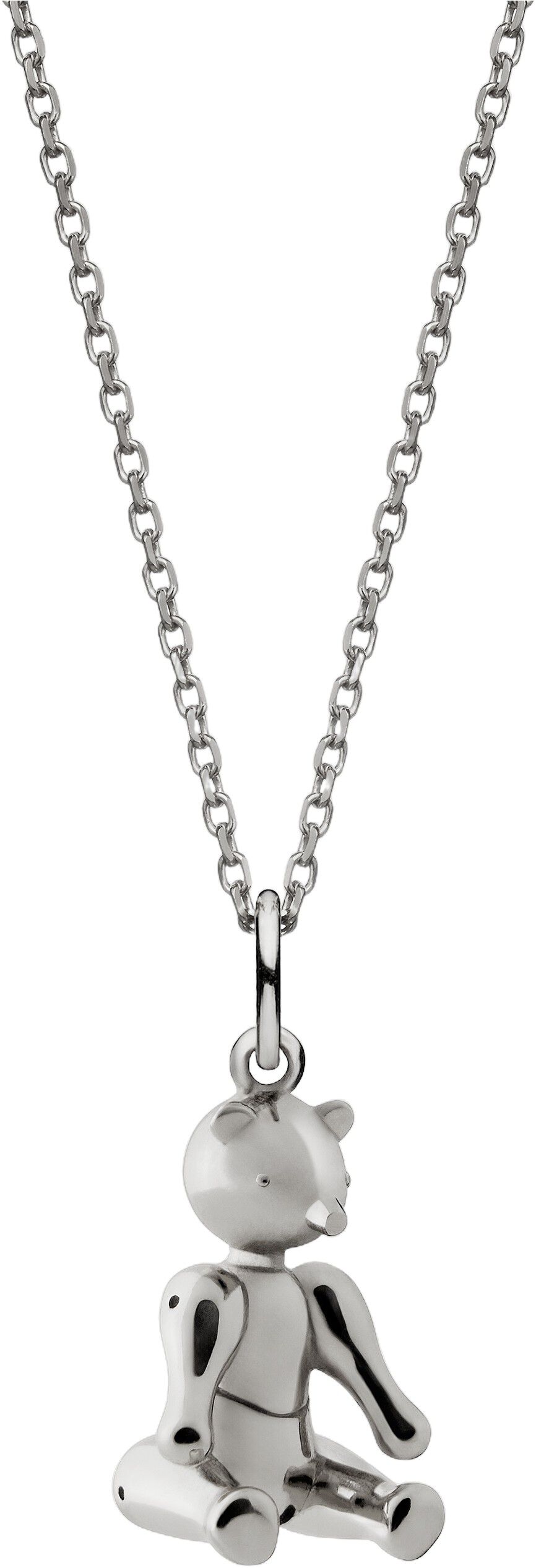 Bj&oslash;rnen i s&oslash;lv med k&aelig;de med k&aelig;de