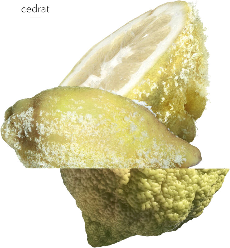 TERRE D'HERMÈS EAU GIVRÈE EAU DE PARFUM