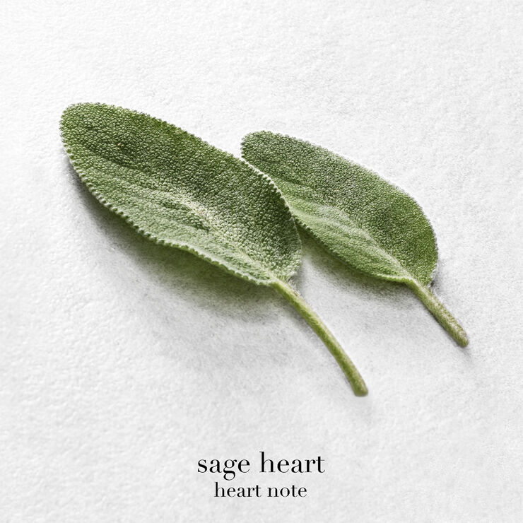 Acqua di Giò Eau de Parfum